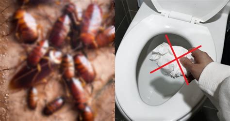 화장실 환풍기 바퀴벌레